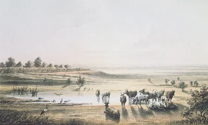 The Borders of Chad 1851, från 